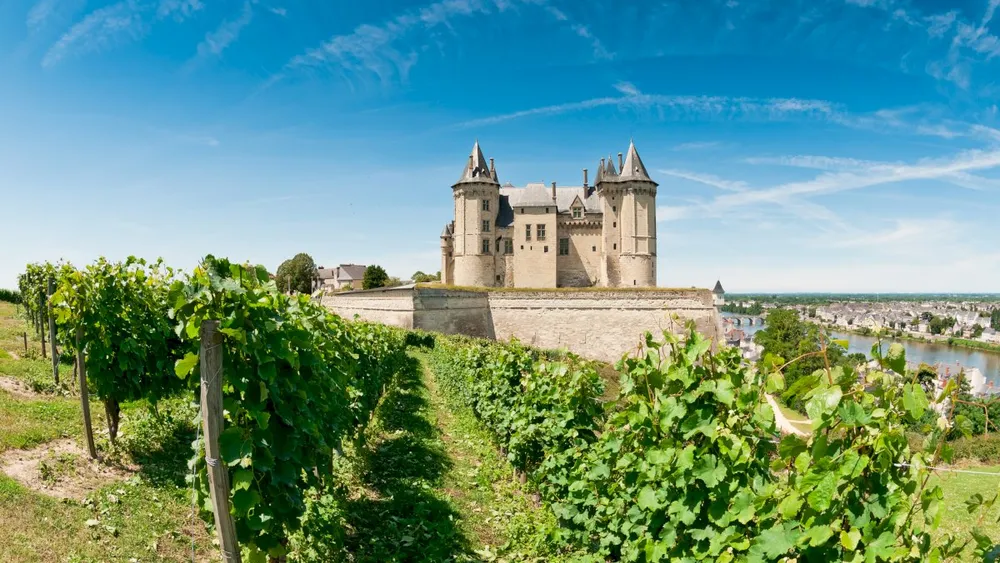 From Paris: Loire Valley Wine Region and Castles Tour (Chambord, Amboise and Chenonceau)