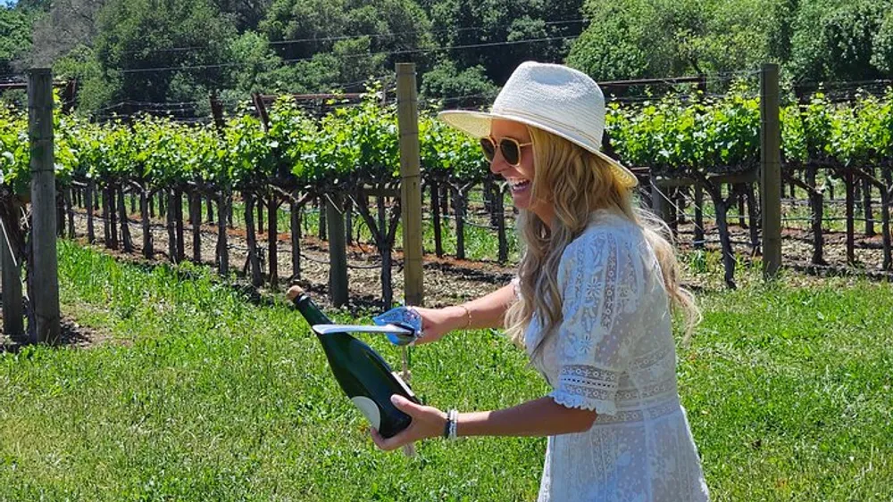 Private Group Wine Tour of Napa Valley