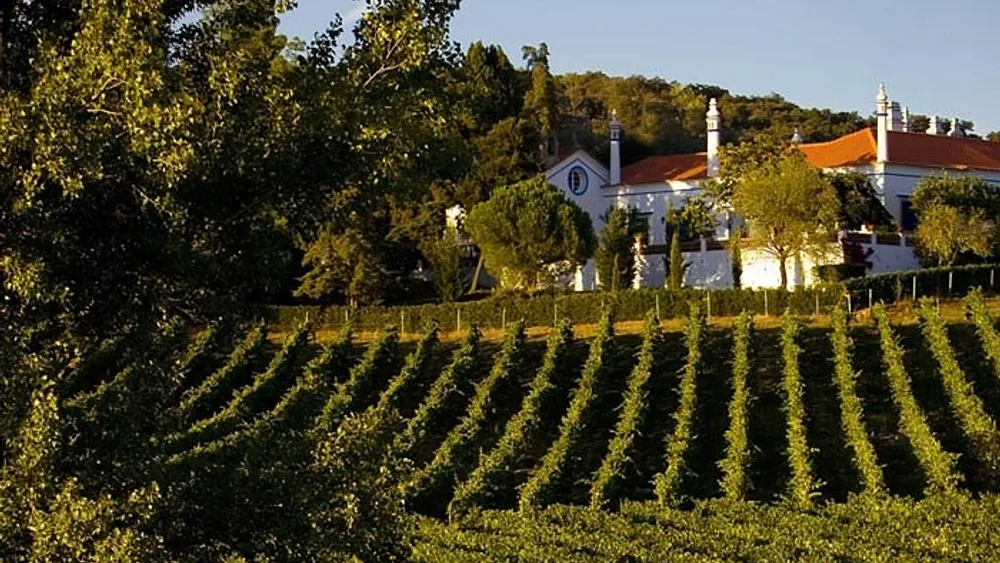 Évora Wine Tour - Roman Temple, Cathedral, Bones Chapel, Wine Tasting