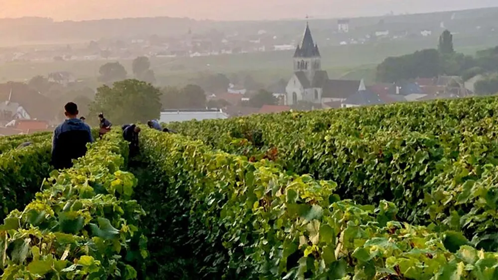 Champagne Region Small-Group Full-Day Tasting Tour From Paris