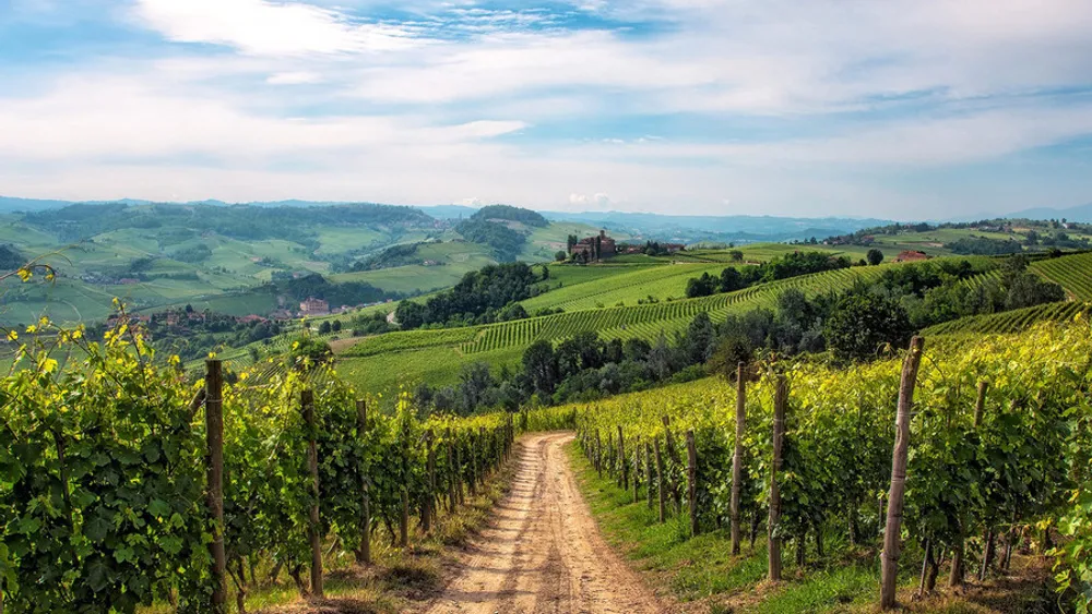 From Milan: Private Piedmont & Barolo Wine Experience with Tastings