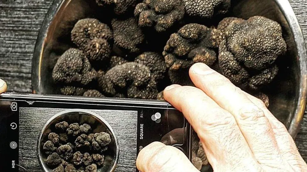 From Florence: Truffle Hunting, Wine & Gastronomic Experience in Chianti (Tuscany)