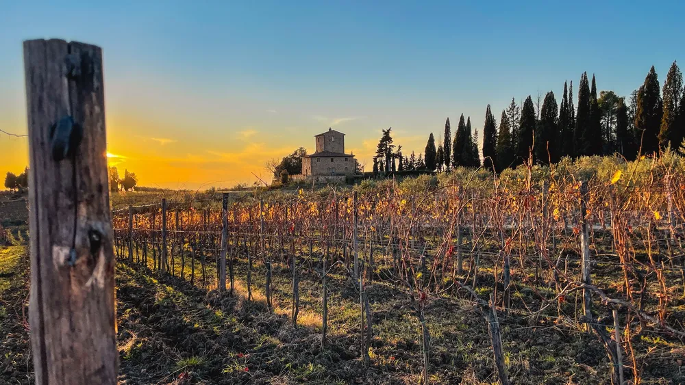 From Florence: The Great Chianti Classico Wine Crossing in Tuscany