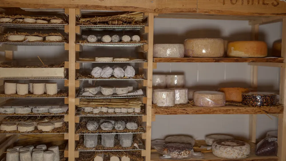 Paris: Visit to the Cheese Museum with Live Cheesemaking and Tasting