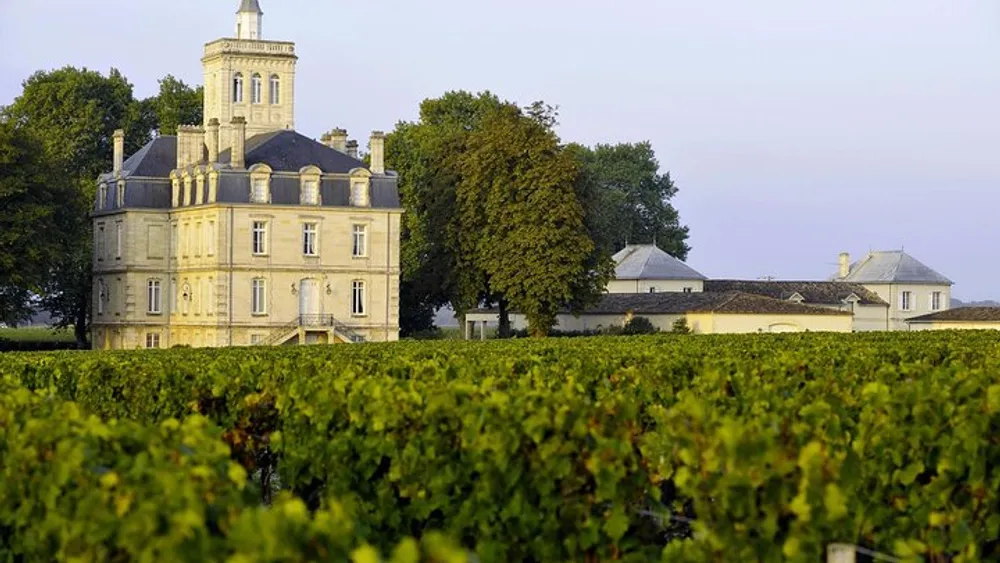 Private Full Day Winery Tour from Bordeaux with Hotel pick up & drop off