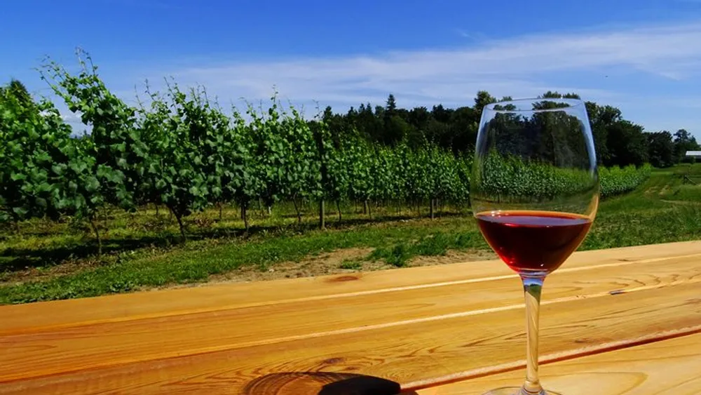 Private Tour: Vancouver Half Day Wine Tasting Tour