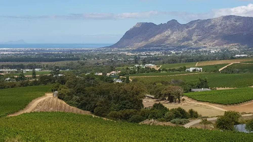 From Cape Town: Constantia - All Inclusive Private Wine Tour