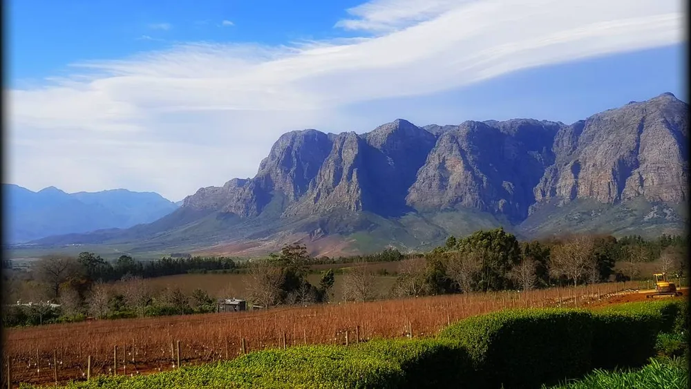 From Cape Town: Stellenbosch Golden Triangle Private Wine Tour