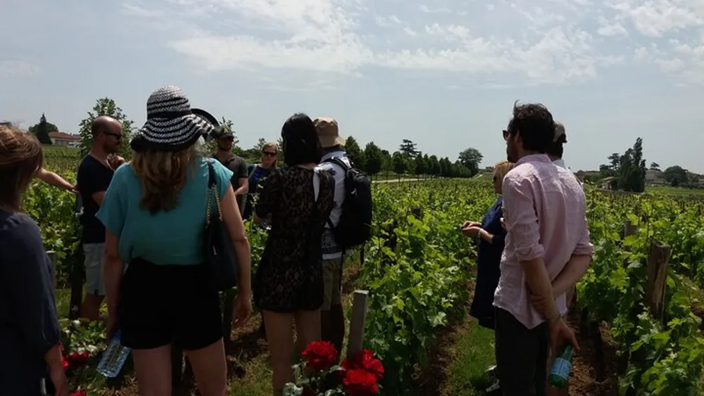 Saint Emilion Wine Tour Half Day