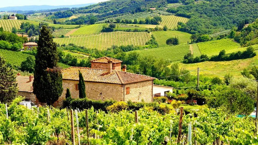 Half day Chianti Vineyard Escape from Florence with Wine Tastings