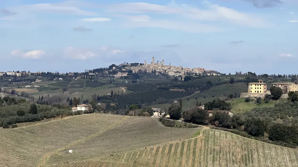 From Florence: The San Gimignano Adventure – Wine Trekking