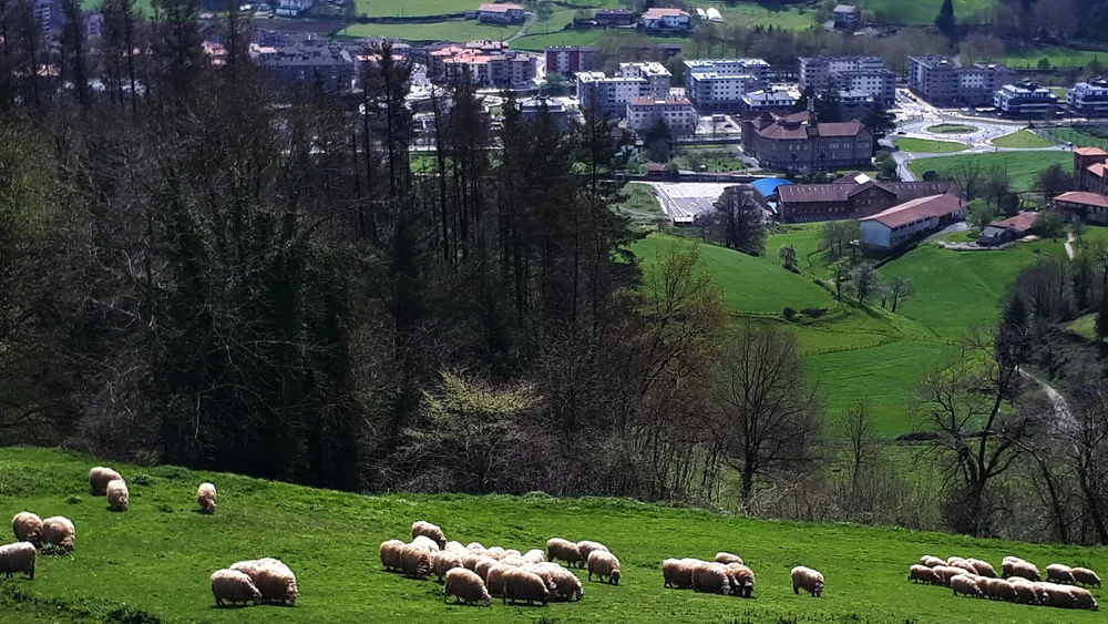 Idiazabal cheese tour from San Sebastián