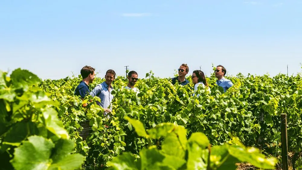 From Epernay: Half-Day Family Grower Tour in the Champagne Region (with Lunch Included)