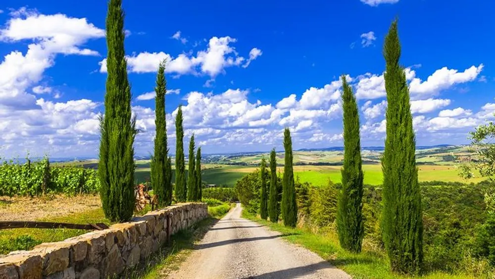 From Florence: Chianti Wine Region in Tuscany (with 2 Wine-Tastings and Vineyards Escape)