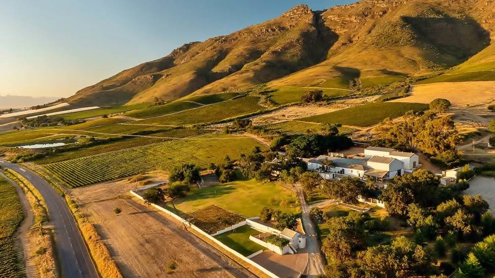 From Cape Town: Swartland Private Wine Tour