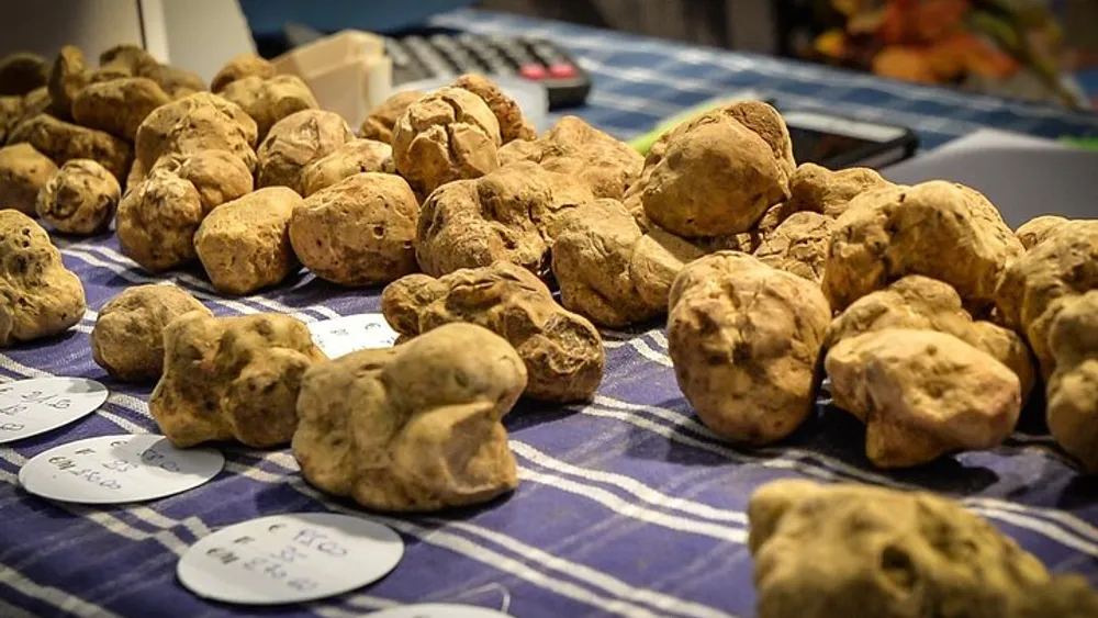 Alba Truffle Fair: Private Tour and Skip-the-Line Access