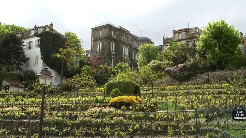 The Winegrowers’ Rally in Montmartre