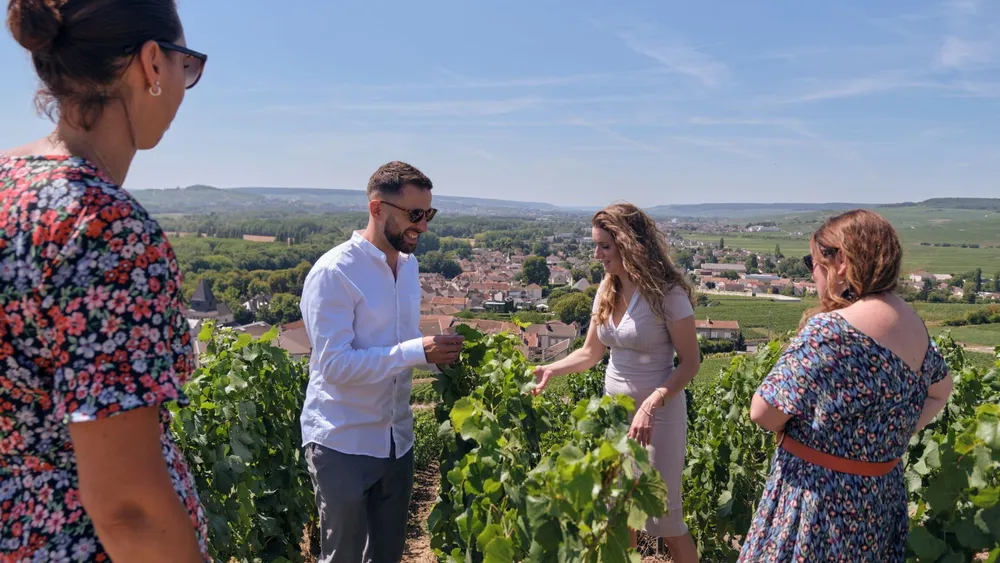 Full day Mumm, family growers with traditional lunch from Reims