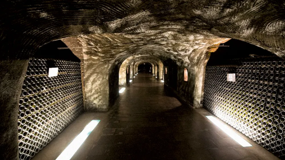 From Paris: Tour to Champagne Area Including a Top Champagne House & Family Winery in Semi-Private