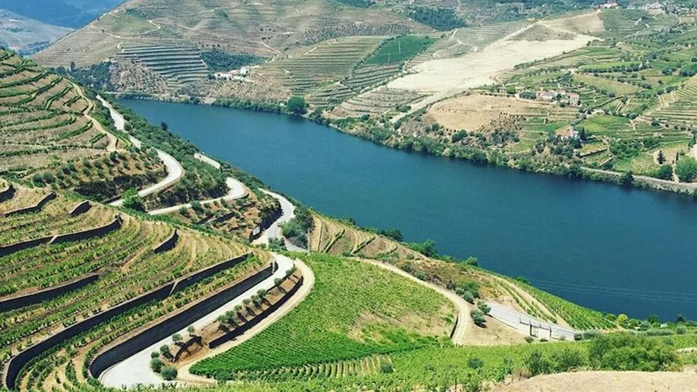 From Porto: Private Douro Valley Food and Wine Tour