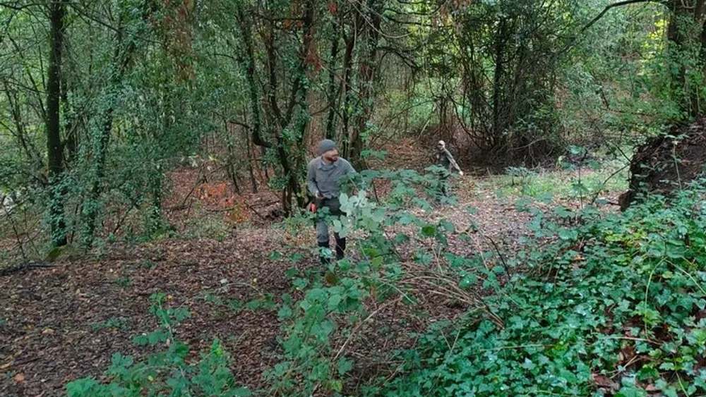 Truffle hunting in Rome for small groups