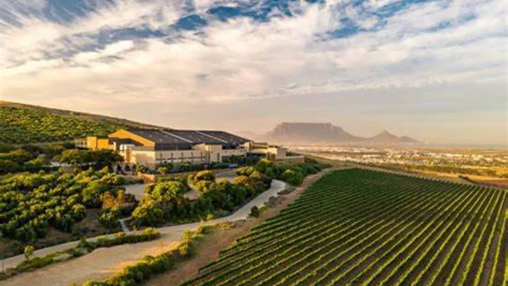 From Cape Town: Durbanville Private Wine Tour