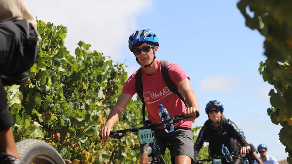 Cape Town: Electric Bike Winelands tour Full Day (with Lunch)