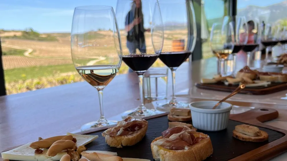 From San Sebastian: Explore an Exclusive Winery in the Rioja Wine Region