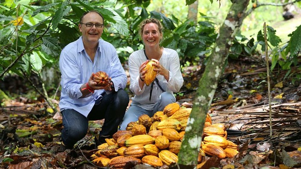 Cacao Farm Excursion Day Trip from Guayaquil