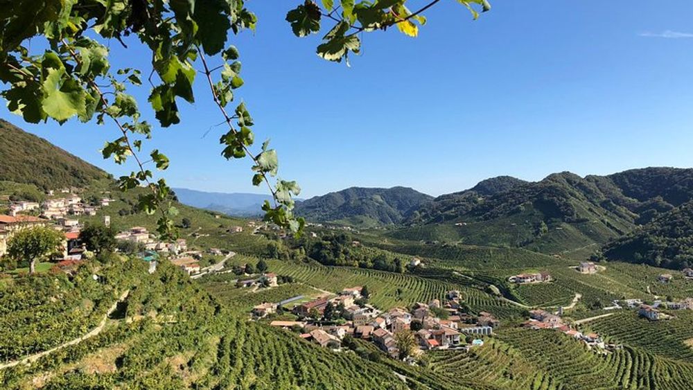 A sparkling day in the Prosecco Hills- From Venice