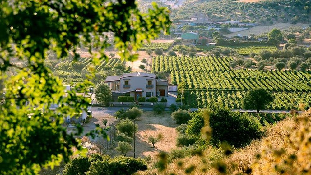 Peloponnese Wine roads Tour
