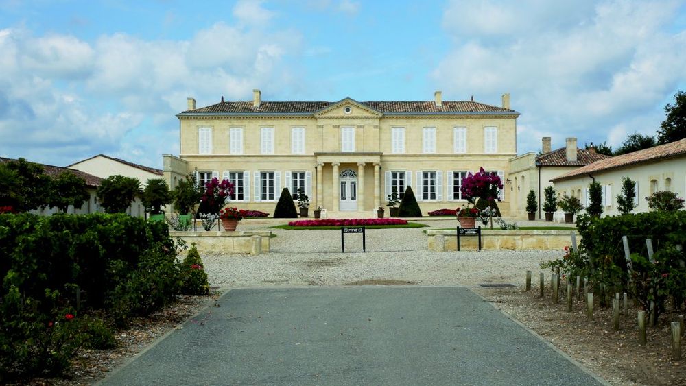 From Bordeaux: A Private Wine Tasting Experience in the Medoc