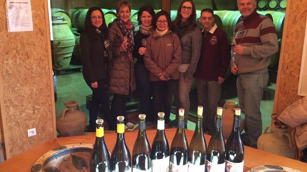 The Original Syrah Wine Tour (9:00 am - 1:30 pm) - Small Group Tours from Lyon