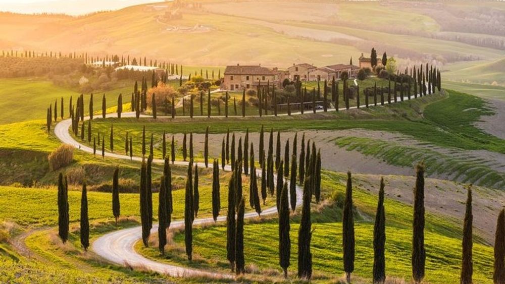 Florence: Best of Tuscany Landscape and Private Wine Tour