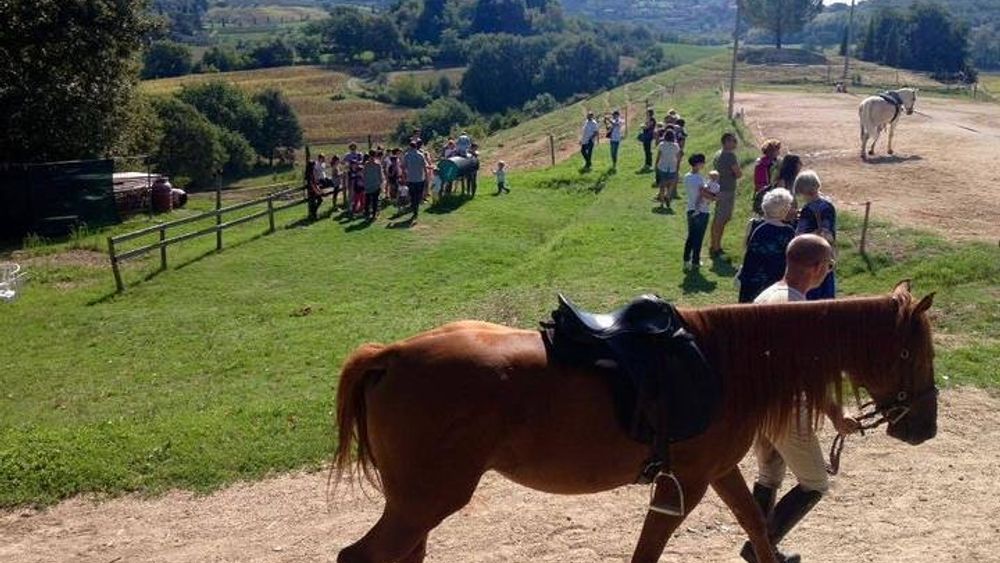 From Rome: Wine Tasting and Horseback Riding in Montepulciano, Tuscany