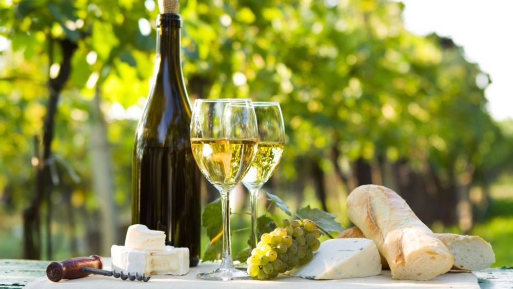 Linguaglossa: Wine Tasting Experience Etna North