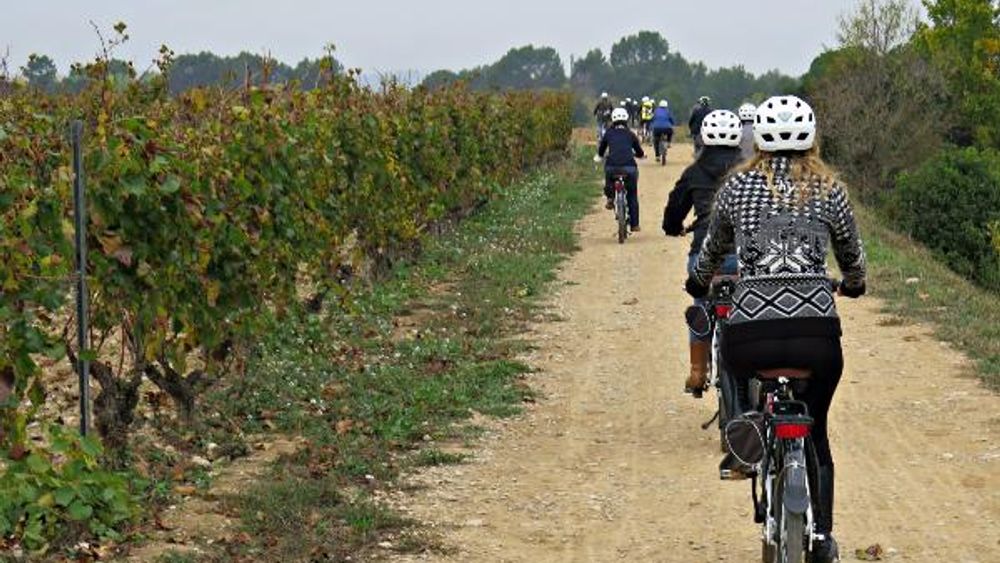 ROUTE IN BIKE AND LUNCH IN WINERY