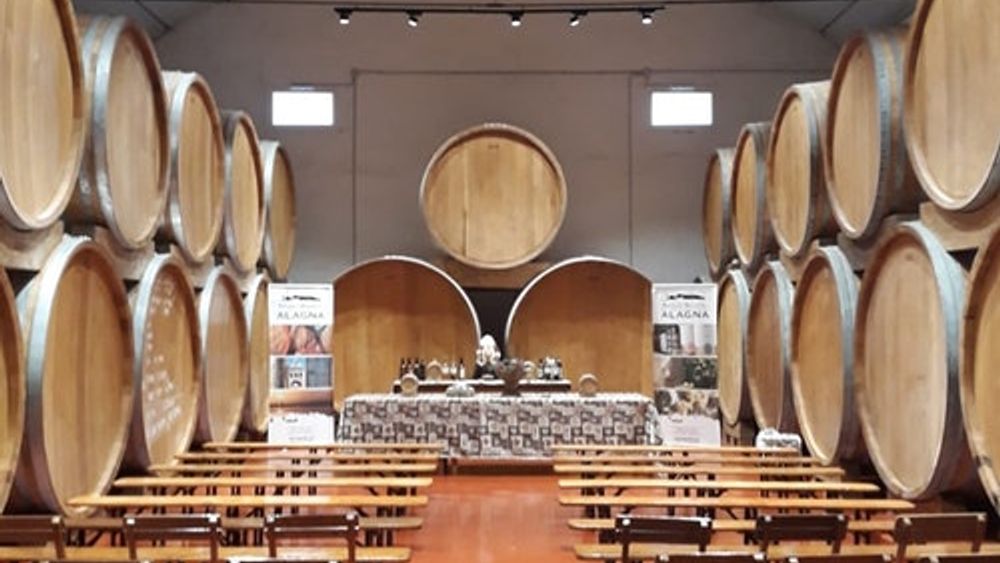Wine Tasting in the historic Alagna Cellar in Marsala