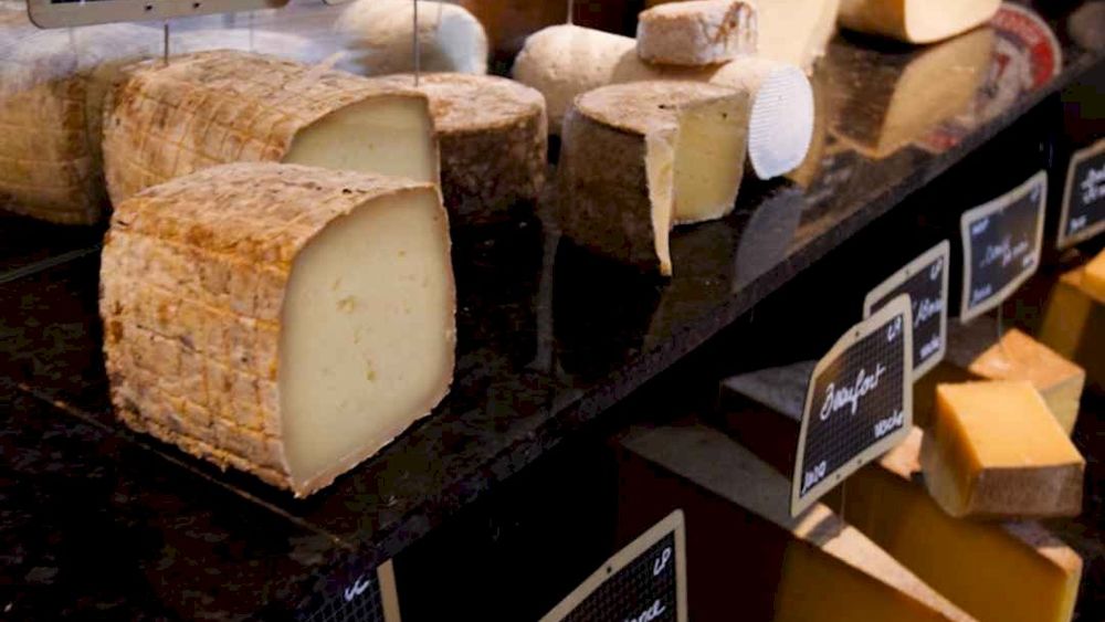 Bordeaux: Delicious Wine & Cheese Pairing Experience