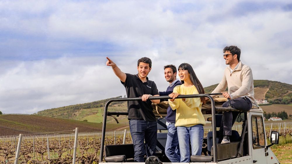 Lisbon: Wine Tour with 4WD Vineyards Experience