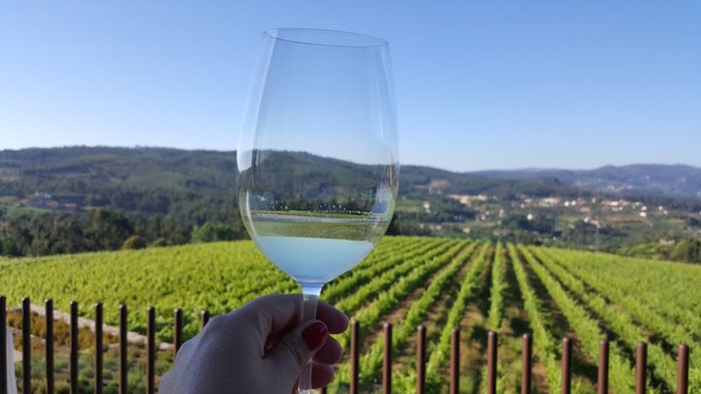 Vinho Verde Region: Small Group Tour from Porto with Lunch