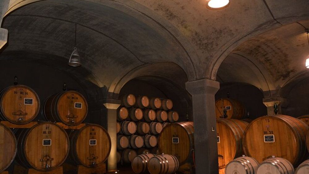 From Florence: Full Day, 3 Wineries Tour in the Montalcino Region of Tuscany