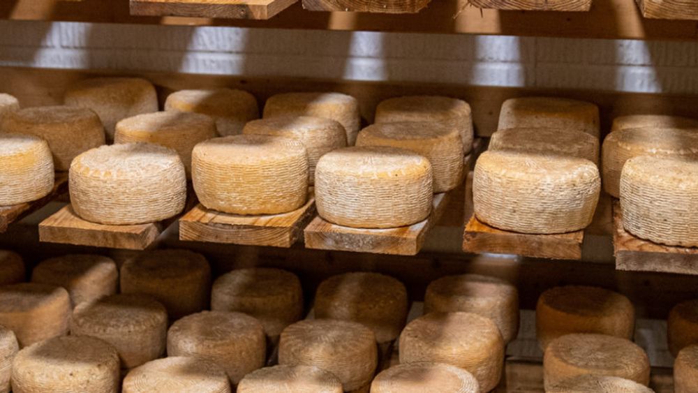 From San Sebastian: Say Cheese and Sip Txakoli: A Basque Food and Wine Experience
