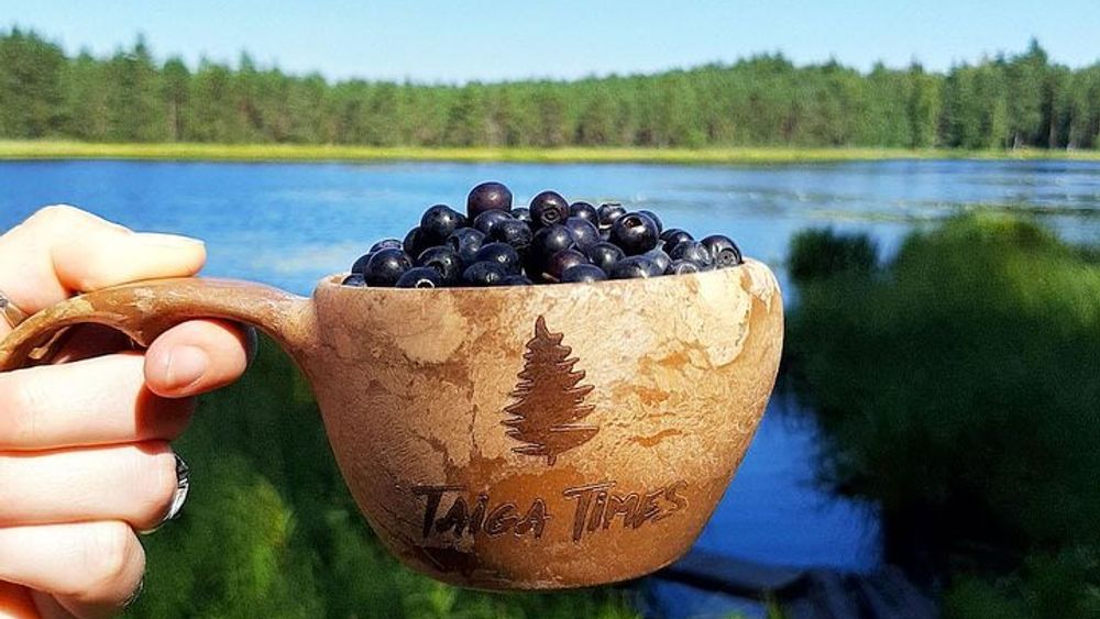 Berry Picking in a National Park