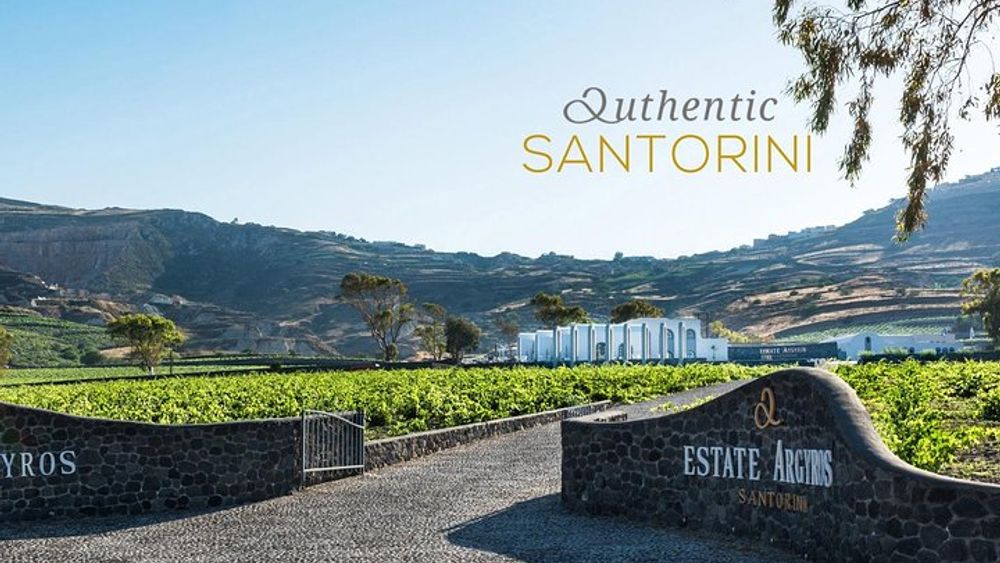 Wine Tasting in Santorini with your private tour guide