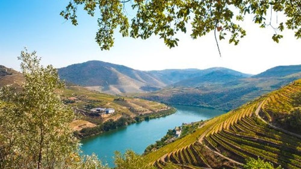 Douro Valley: Cruise from Porto to Pinhão with Breakfast, Lunch & Wine Tasting