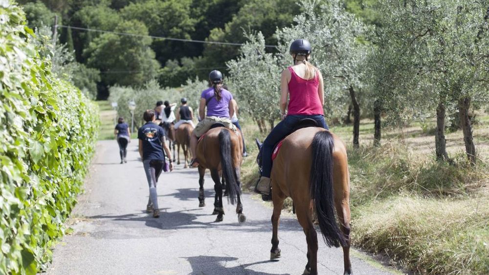 From Florence: Private Horseback Riding near Florence and Wine Tasting