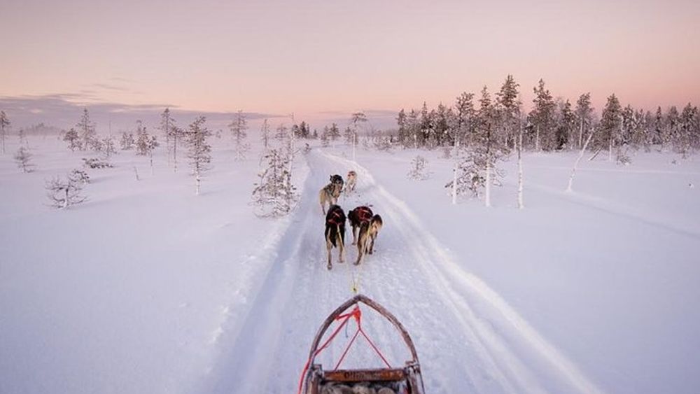 Ice Fishing and Husky Experience in Lapland - Small Group Tour
