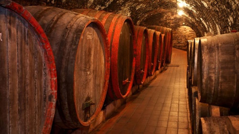 DayTour to Bran “Dracula’s” Castle + Peles Castle + Wine tasting at Azuga cellar