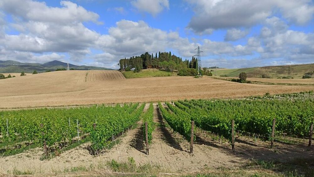 "Ramble Through The Rolling Hills Of Chianti" with lunch and 2 wine tastings